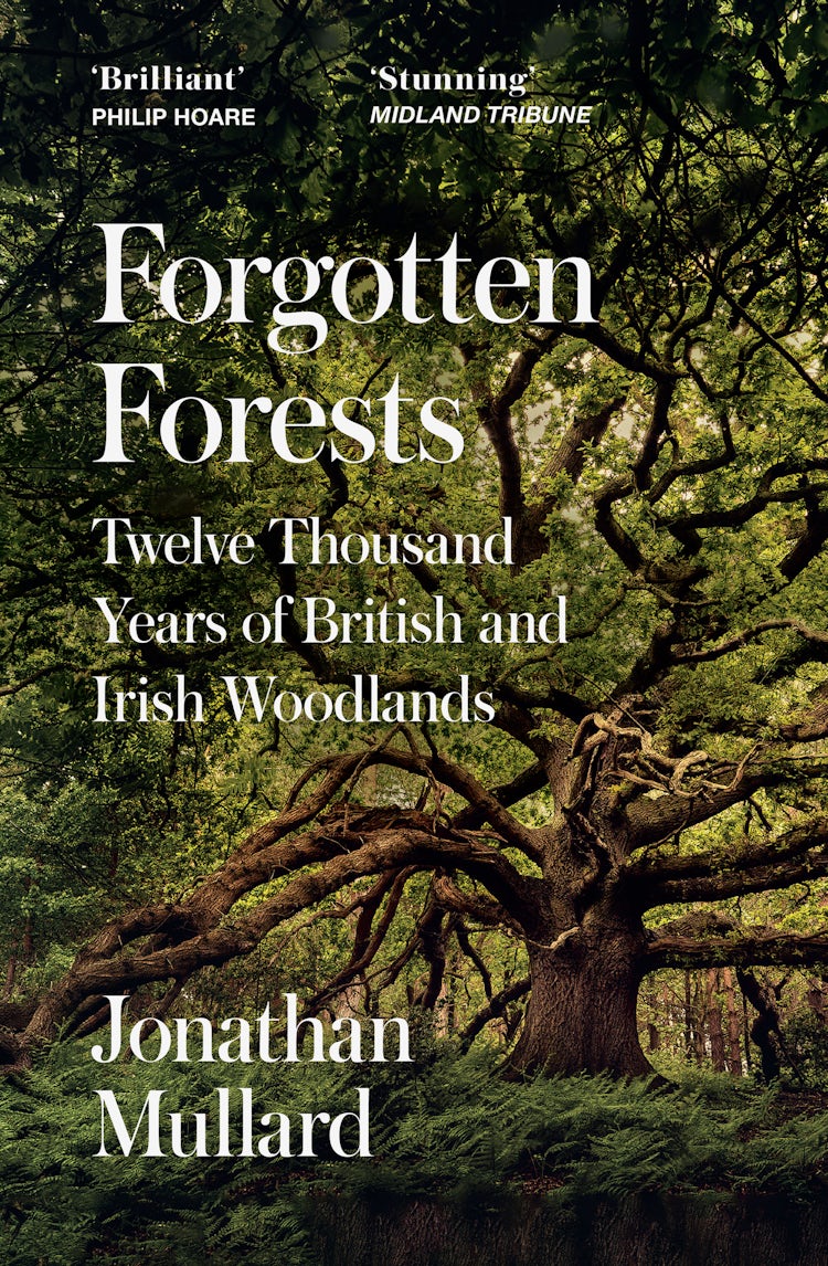Cover image for Forgotten Forests: Twelve Thousand Years of British and Irish Woodlands, isbn: 9780008561086