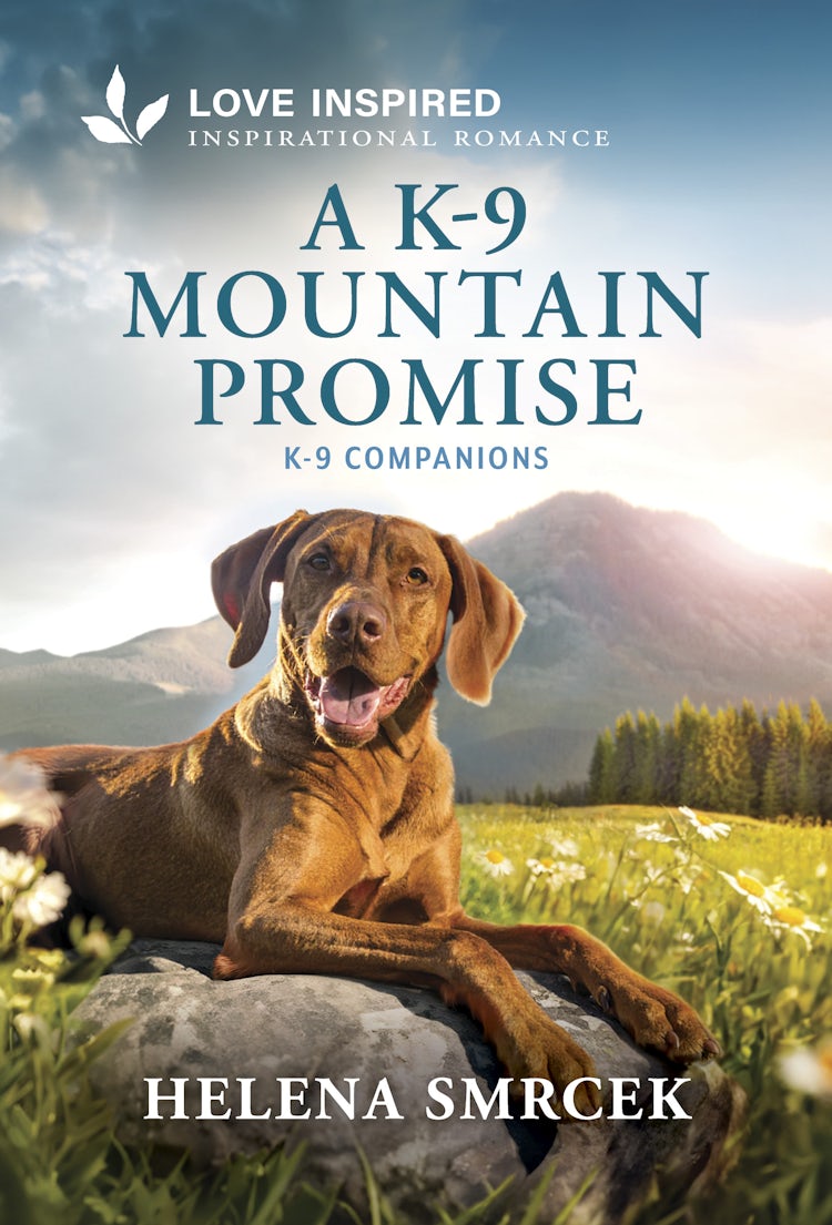Cover image for A K-9 Mountain Promise, isbn: 9781038983602