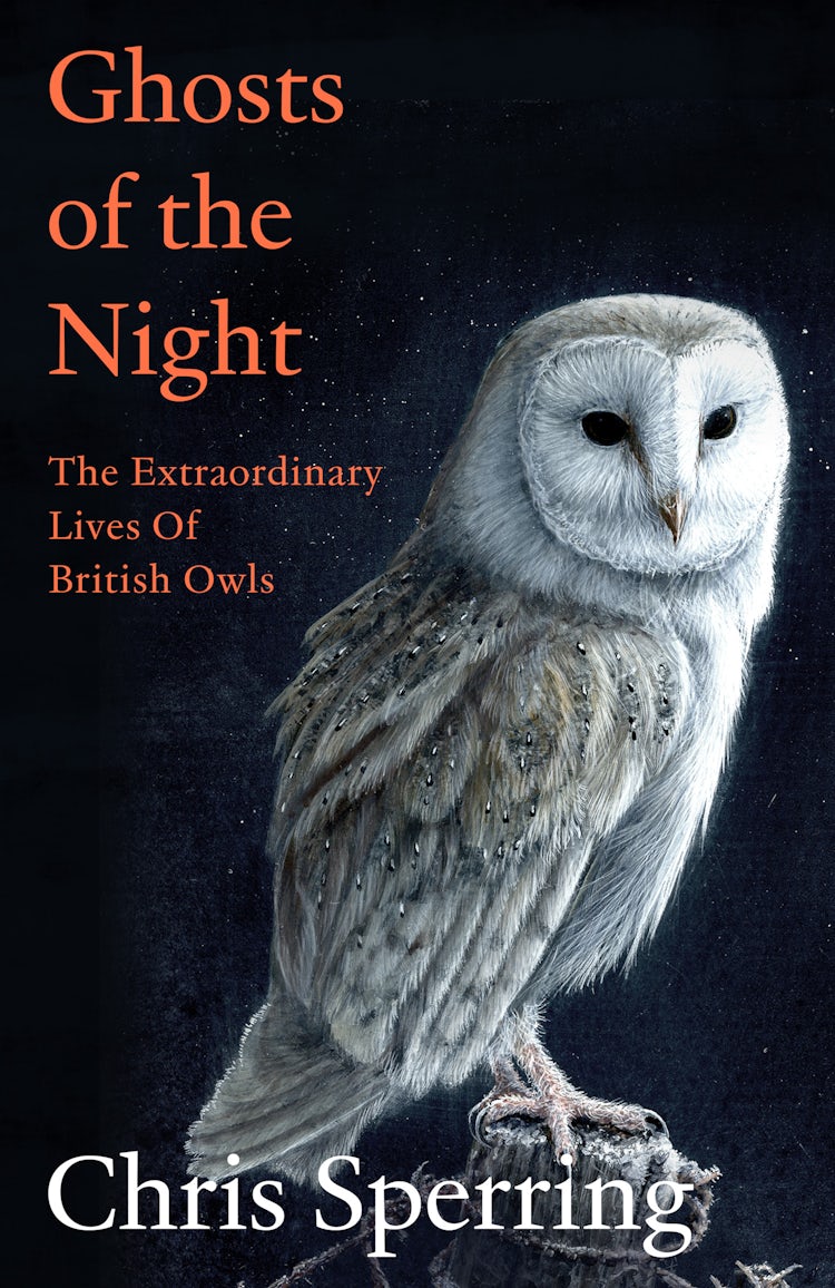 Cover image for Ghosts of the Night: The Extraordinary Lives of British Owls, isbn: 9780008659202