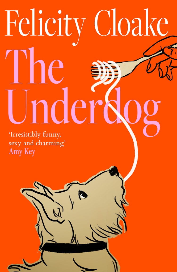 Cover image for The Underdog, isbn: 9780008695293