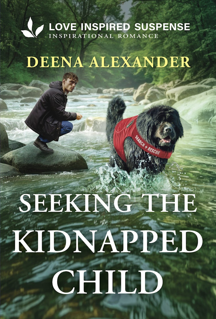 Cover image for Seeking The Kidnapped Child, isbn: 9781038988935