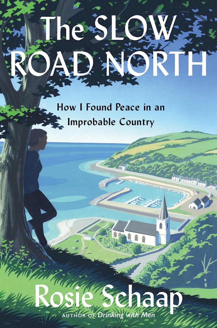 Cover image for The Slow Road North, isbn: 9780358094227