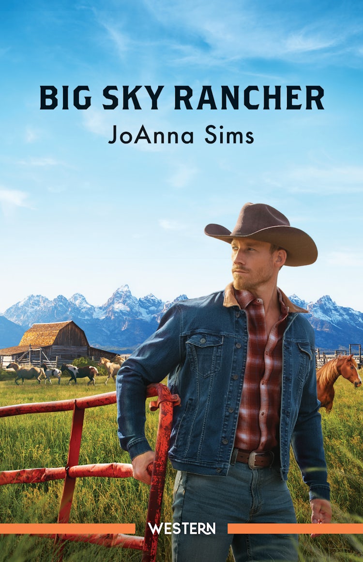 Cover image for Big Sky Rancher, isbn: 9781038985088
