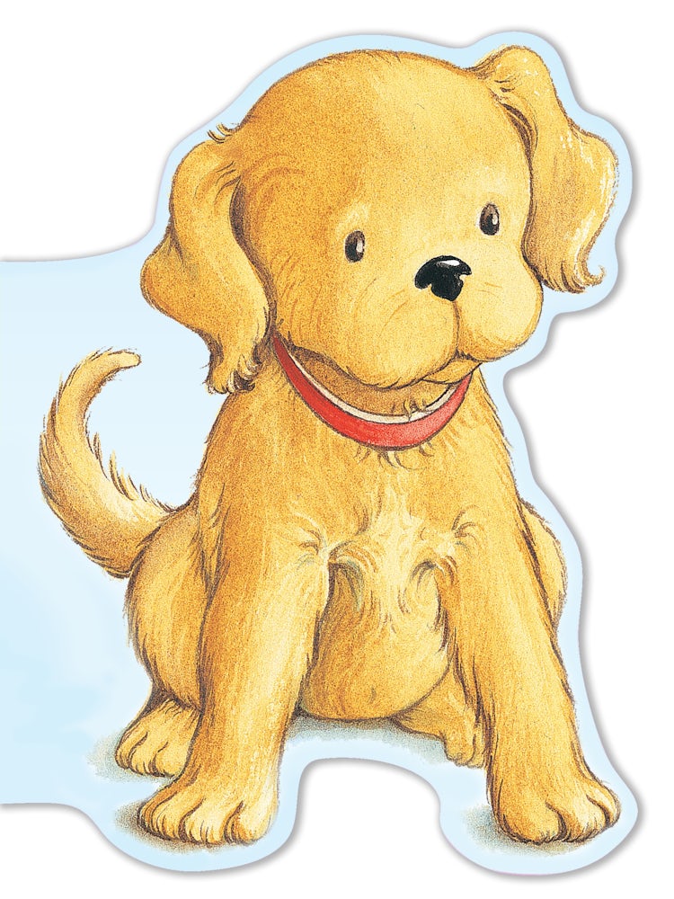 Cover image for Biscuit Shaped Board Book, isbn: 9780063516519