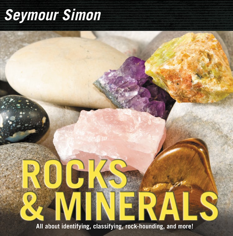 Cover image for Rocks & Minerals, isbn: 9780062289193