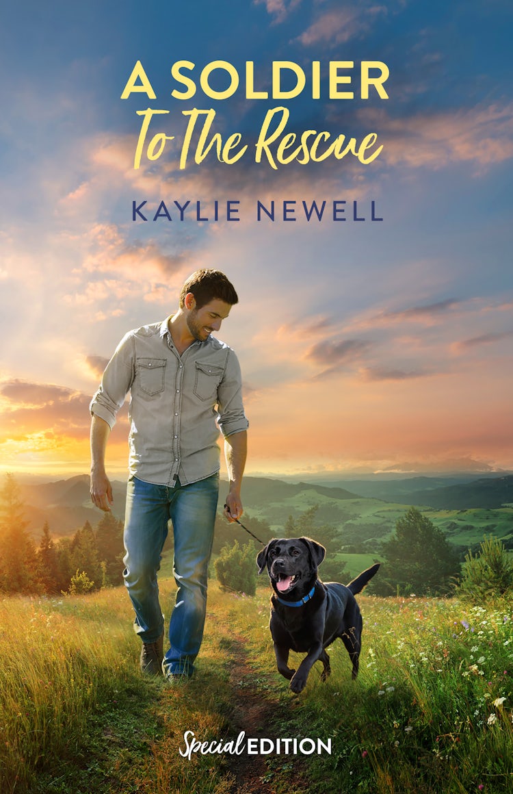 Cover image for A Soldier To The Rescue, isbn: 9781038987303