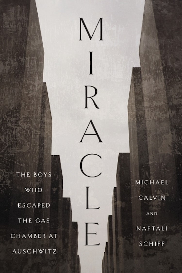 Cover image for Miracle, isbn: 9781400255580