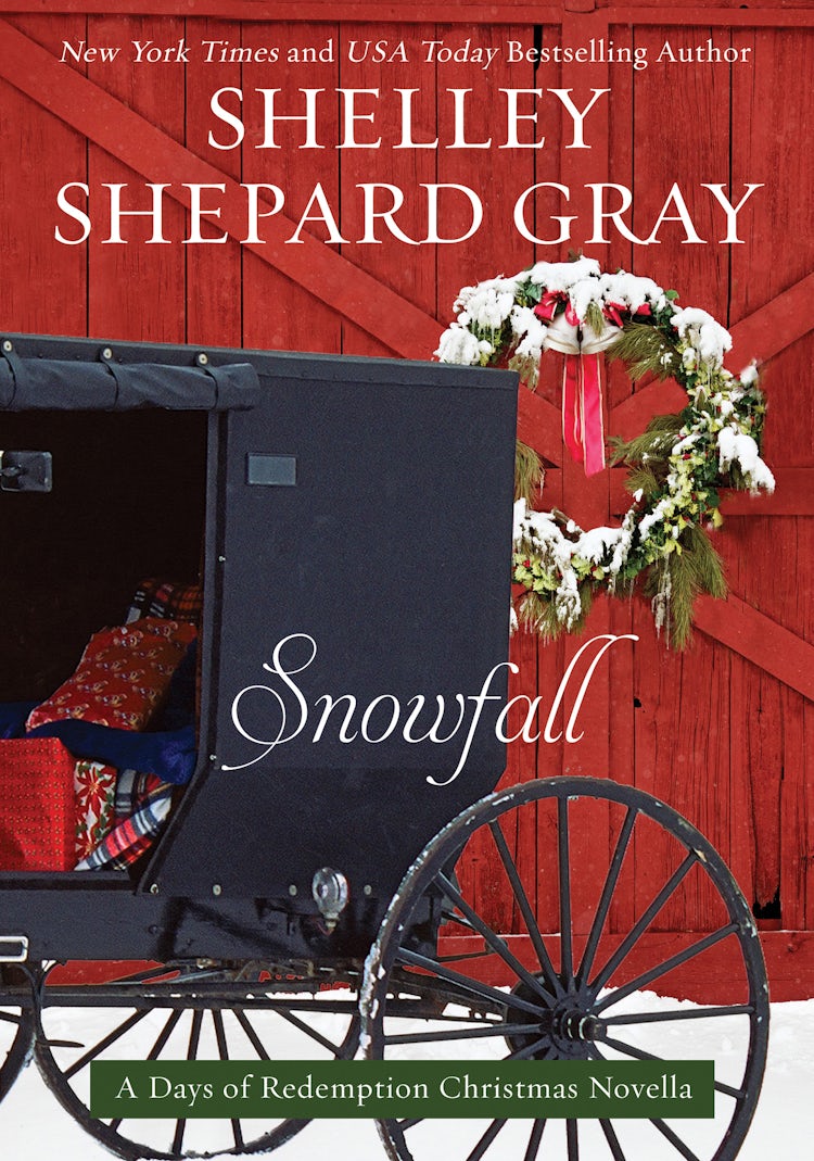 Cover image for Snowfall, isbn: 9780062204554