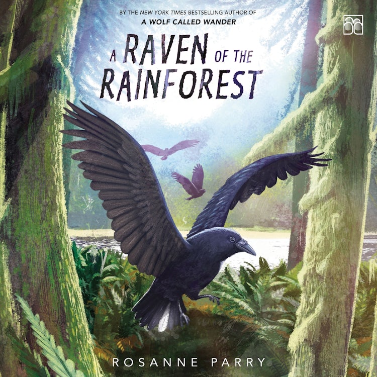 Cover image for A Raven of the Rainforest, isbn: 9780063424333