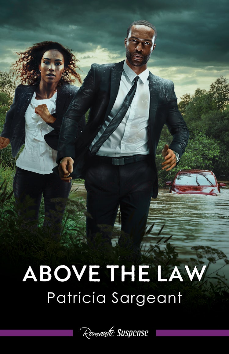 Cover image for Above The Law, isbn: 9781038984913